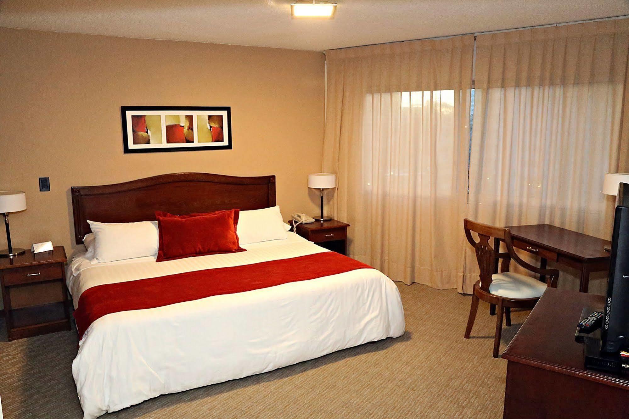 Palladium Business Hotel Μοντεβιδέο Εξωτερικό φωτογραφία